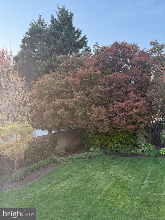 8113 WELLINGTON ROAD