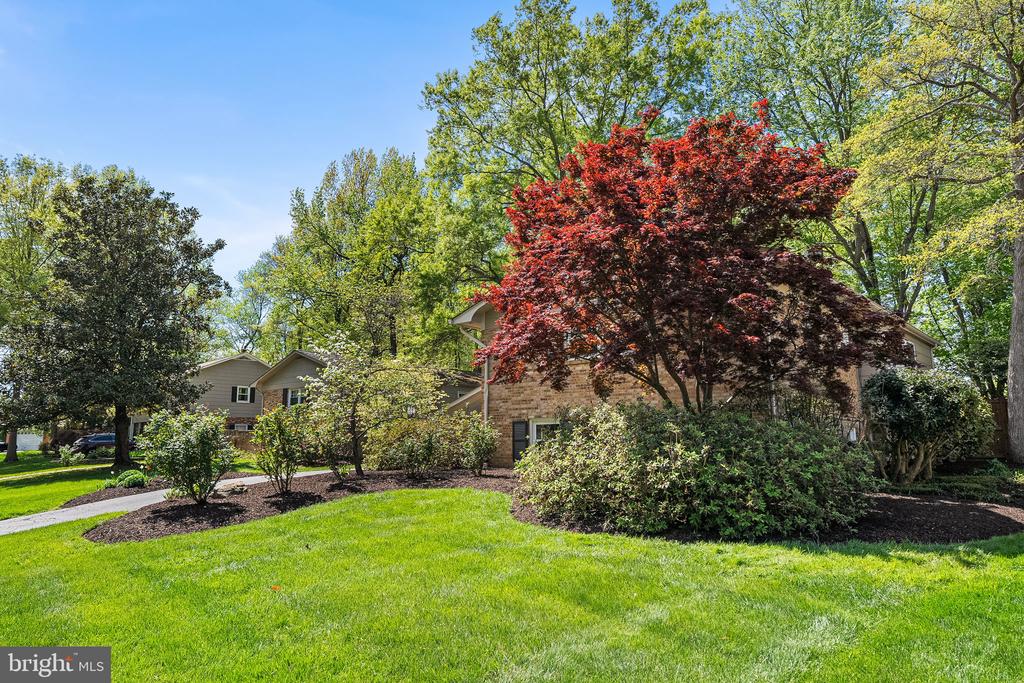 8408 BREWSTER DRIVE