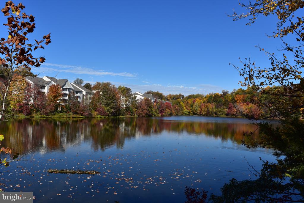 6863 BRINDLE HEATH WAY Unit: 179