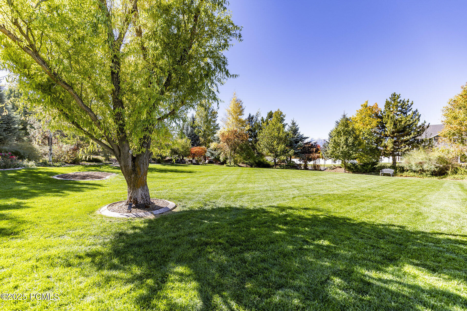 3383 Wild Mare Way