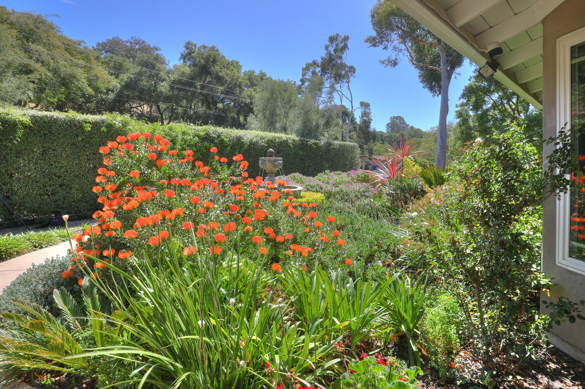 1053 Vereda Del Ciervo