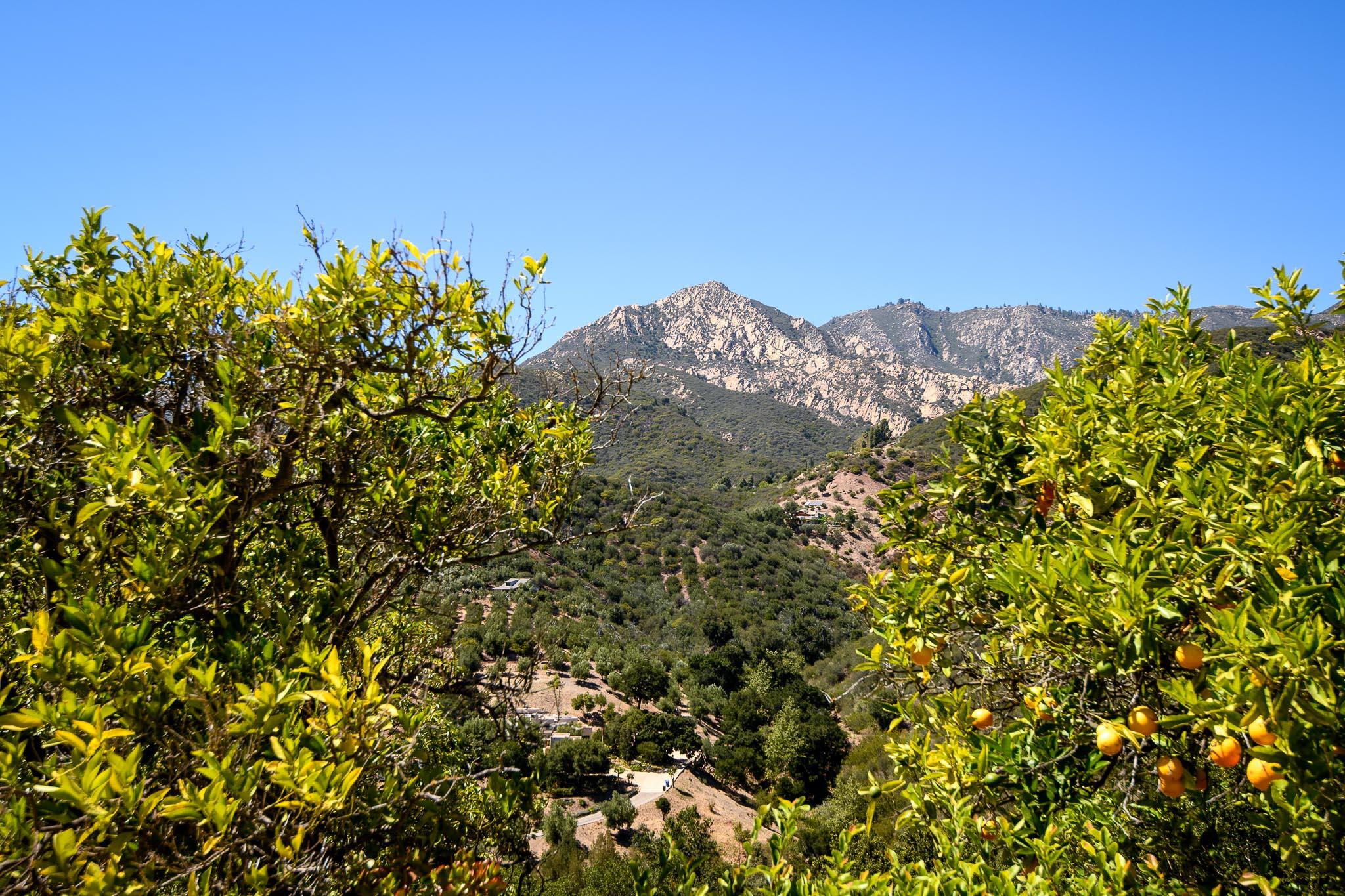 2040 Las Canoas Ridge Way