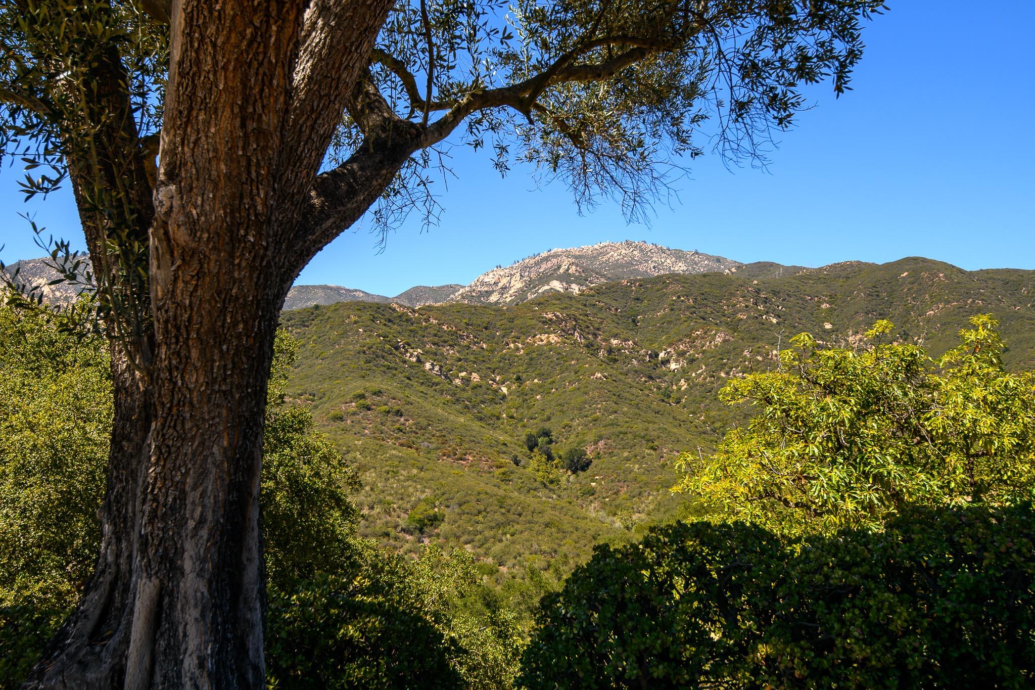 2040 Las Canoas Ridge Way