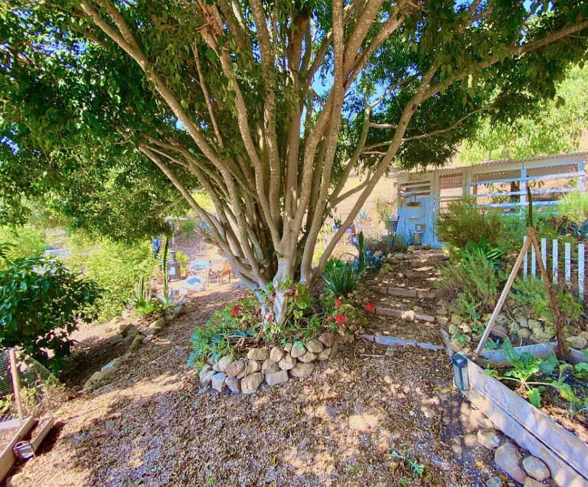 1445 Jesusita Lane, B