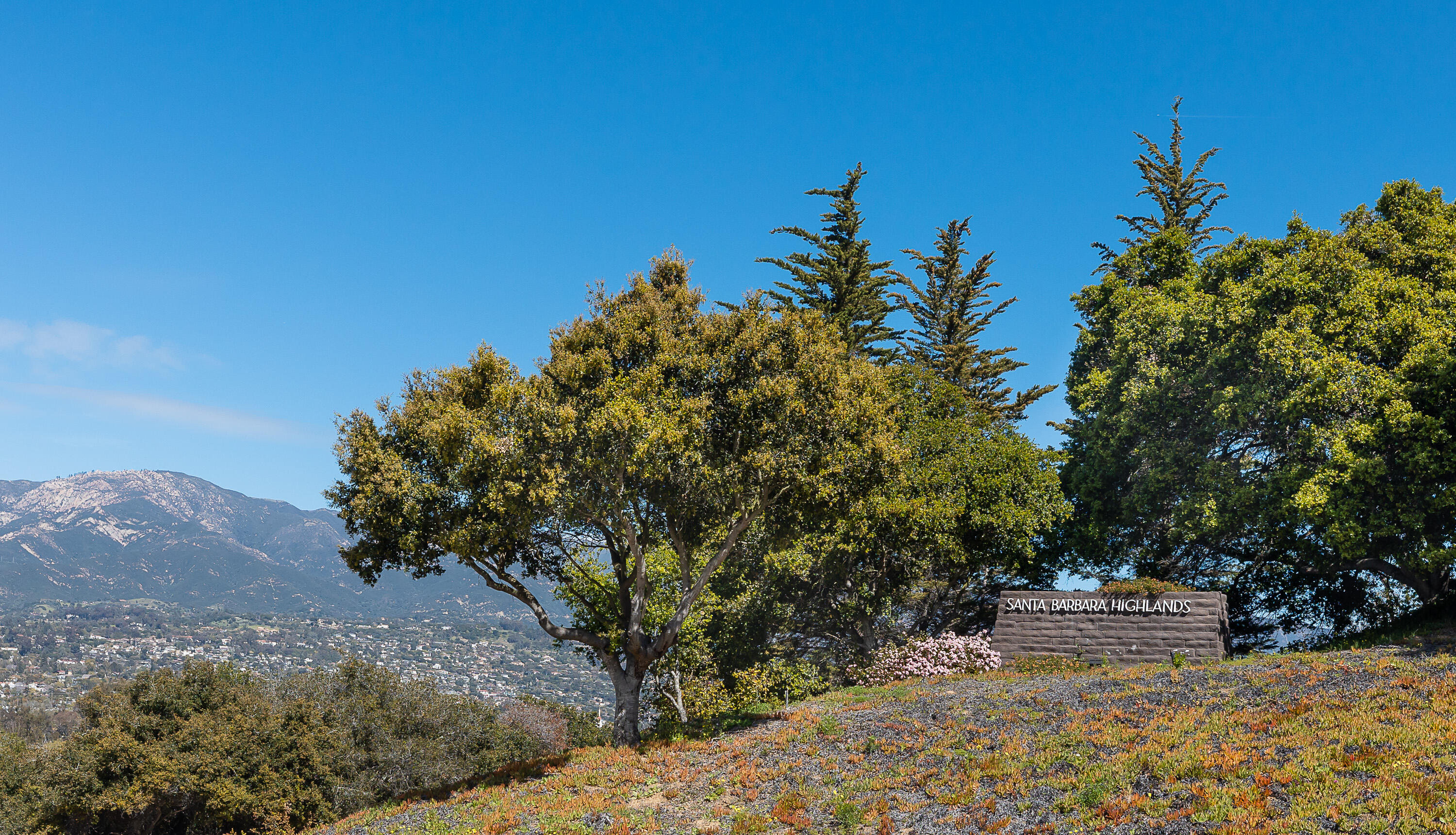 864 Highland Drive, 5