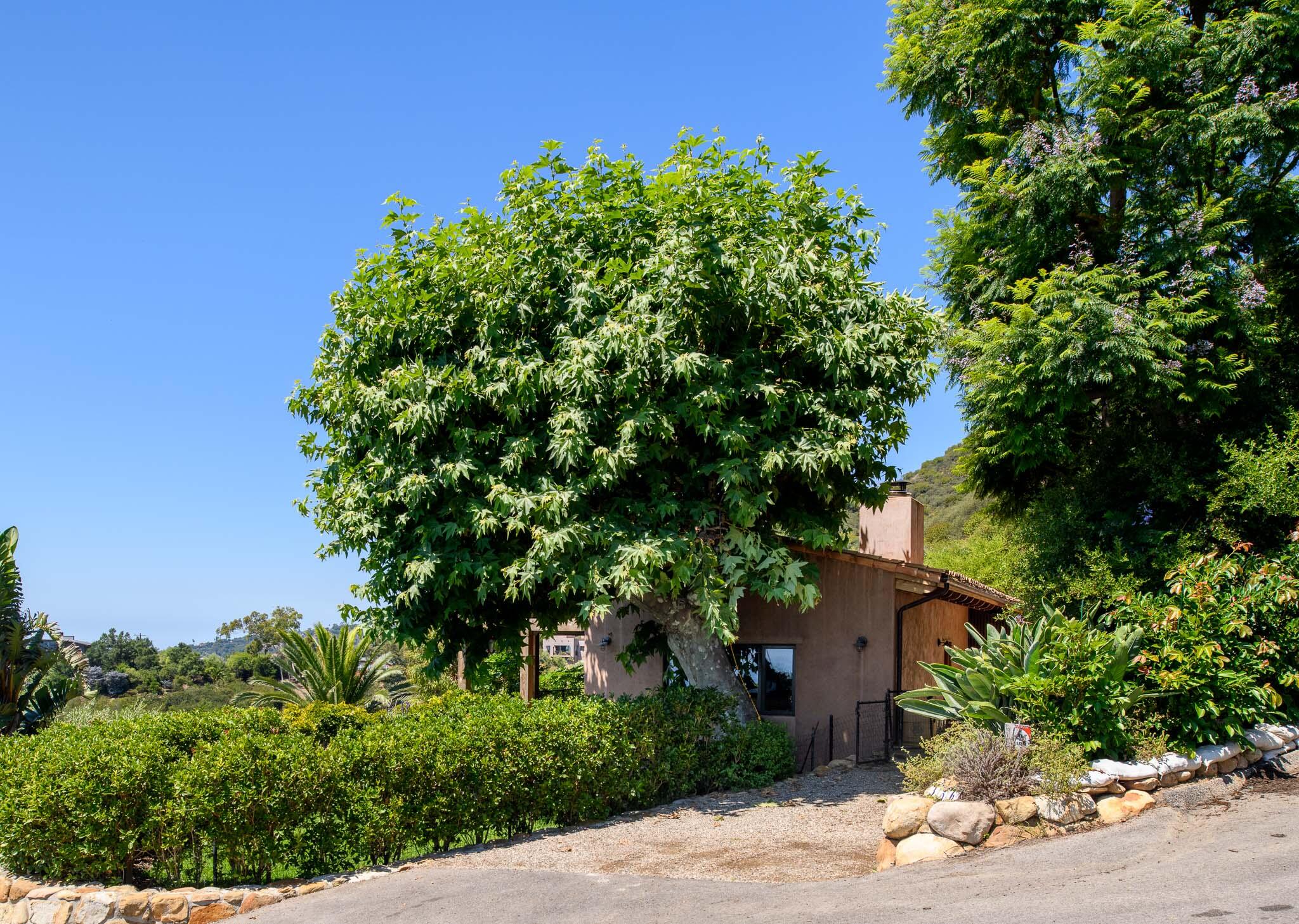 356 E Mountain Drive