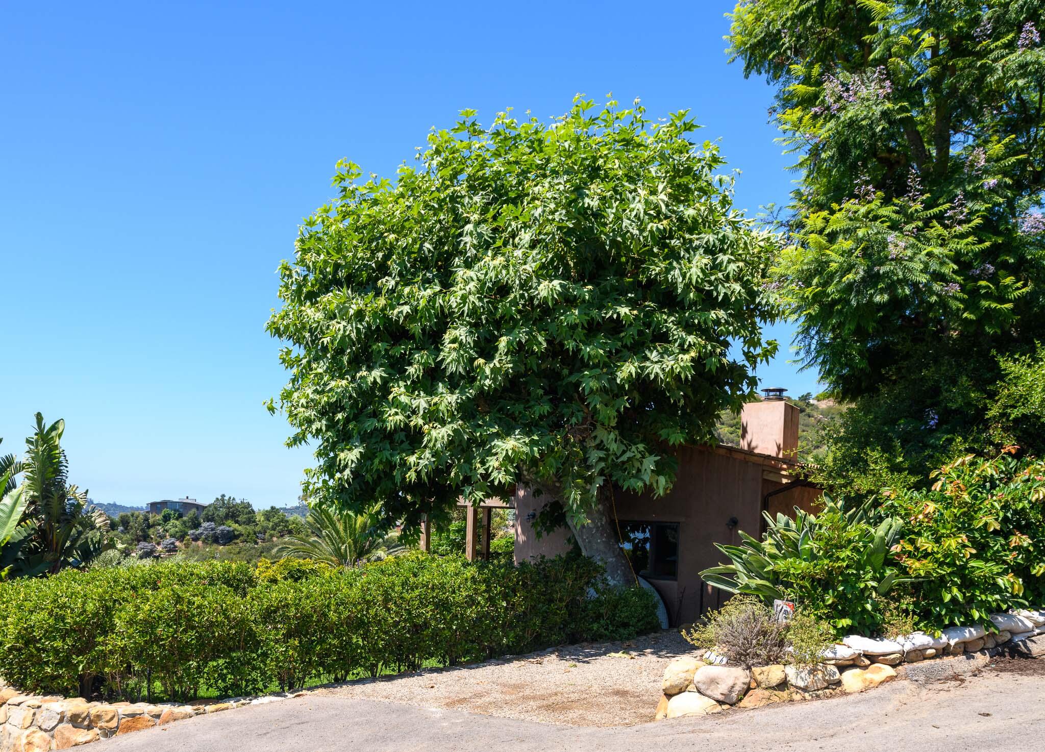 356 E Mountain Drive