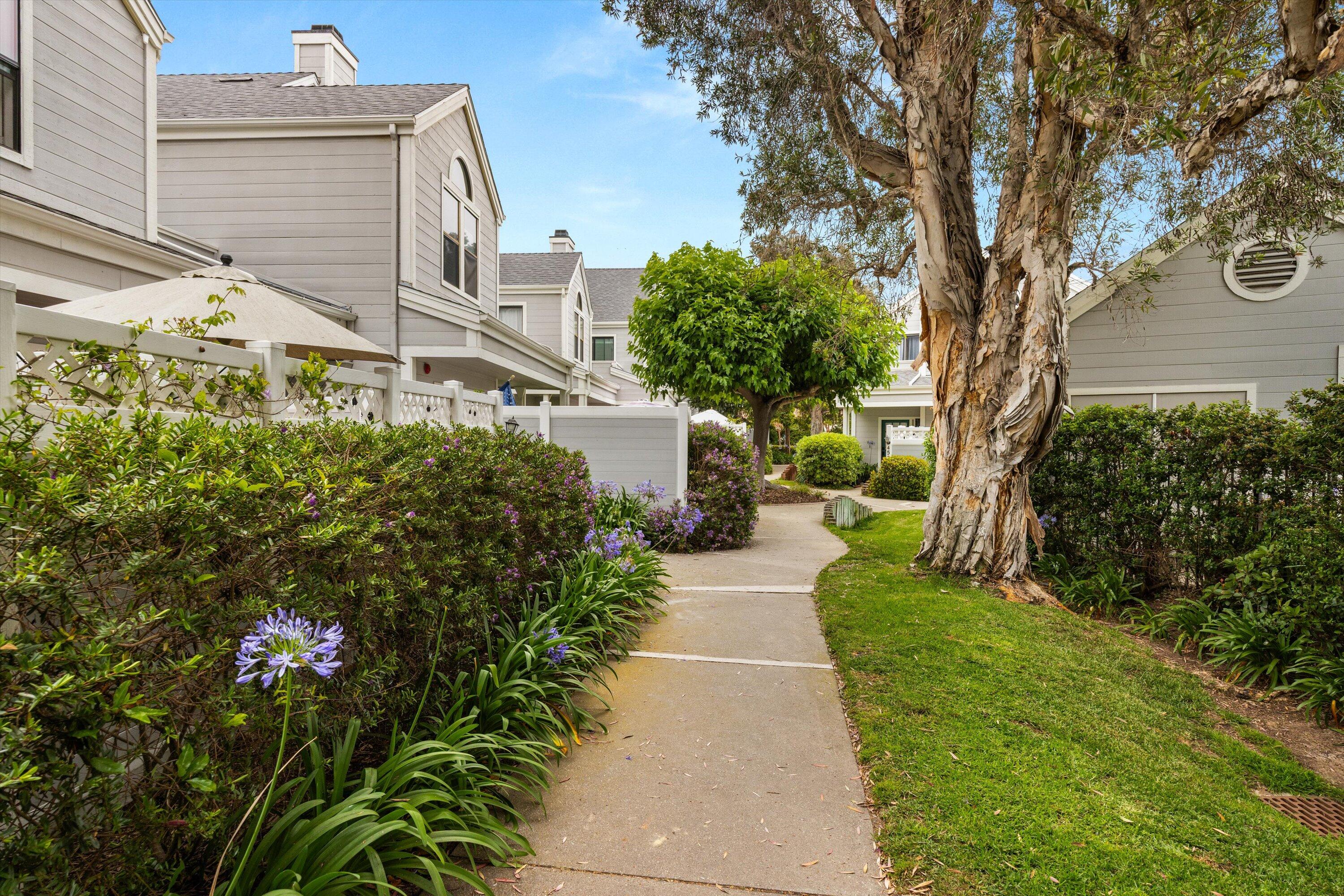 4519 Carpinteria Avenue Unit: B