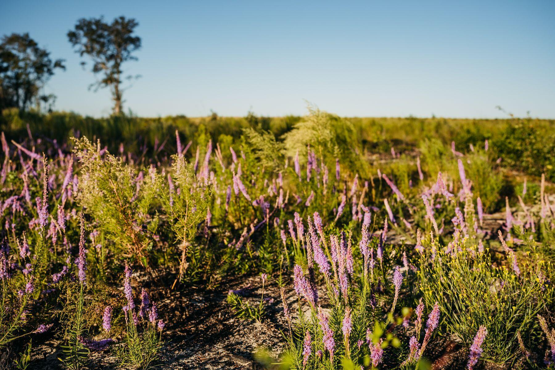 Lot 4 E Kersey Branch Trail