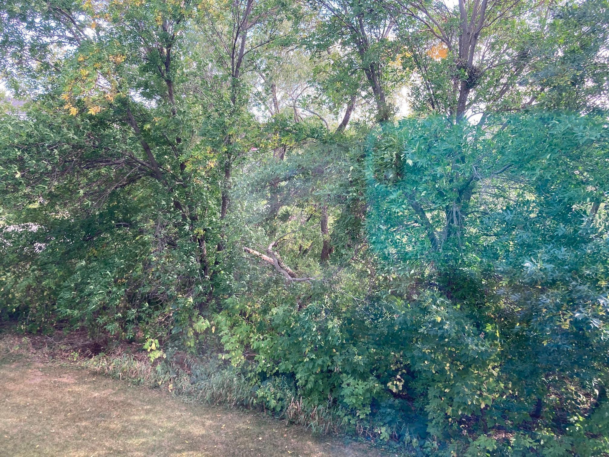 8105 Lawndale Lane N