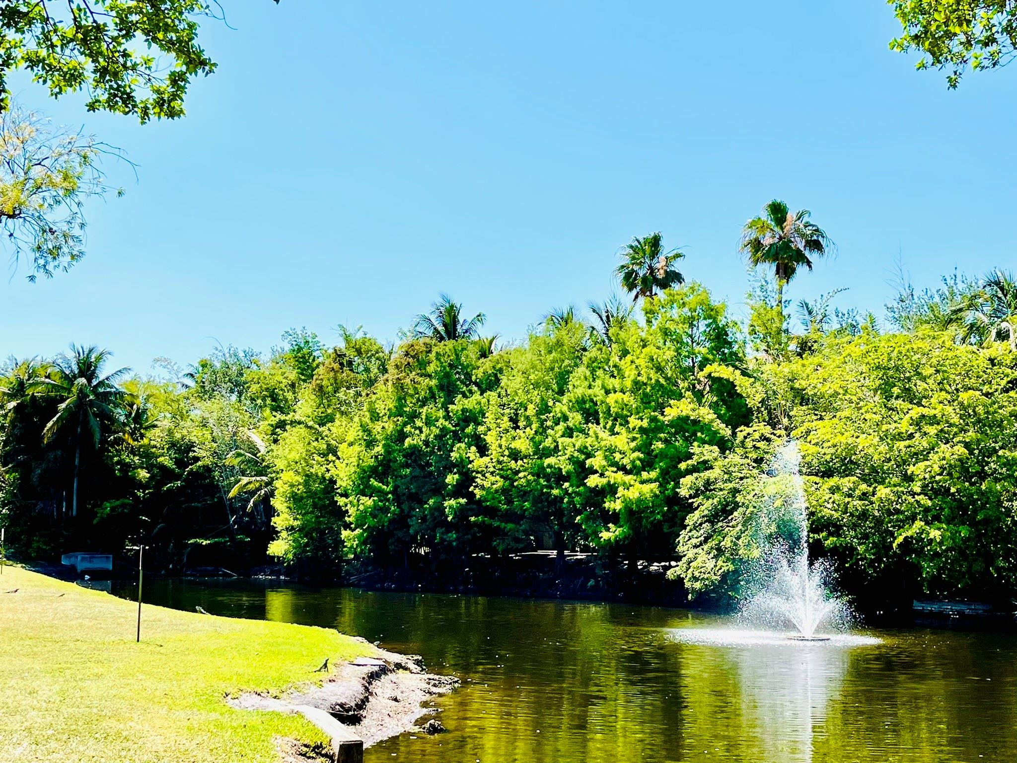 711 N Pine Island Rd 302