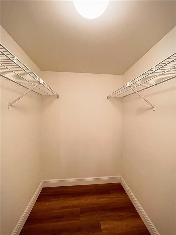 711 N Pine Island Rd 302