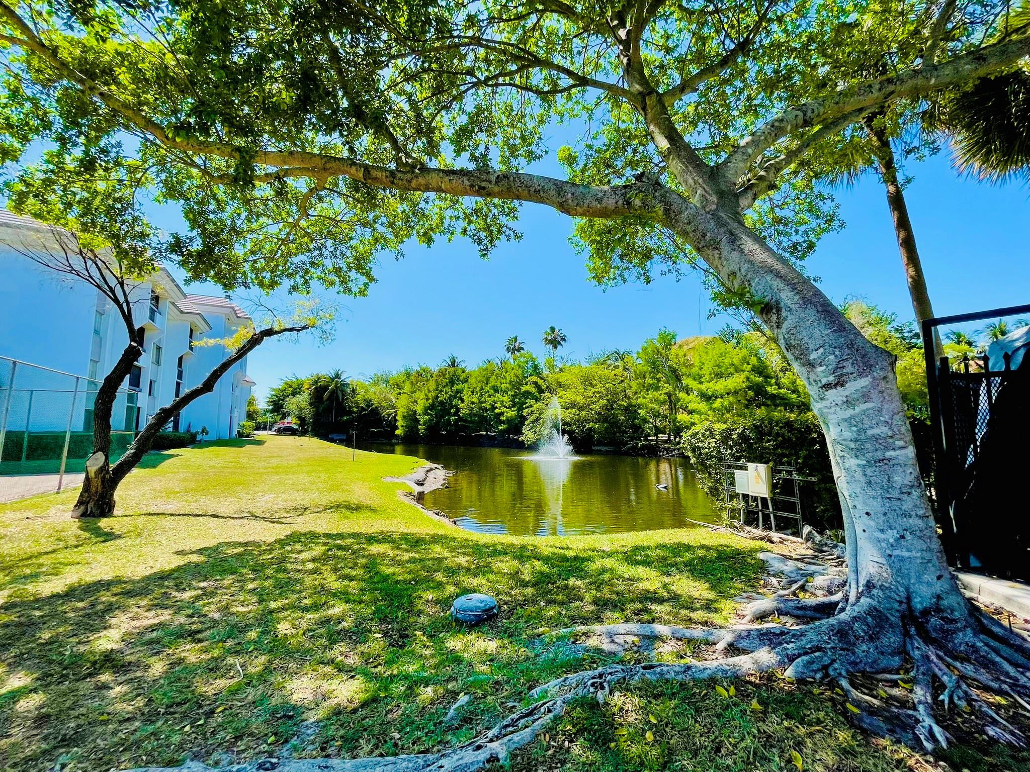 711 N Pine Island Rd 302