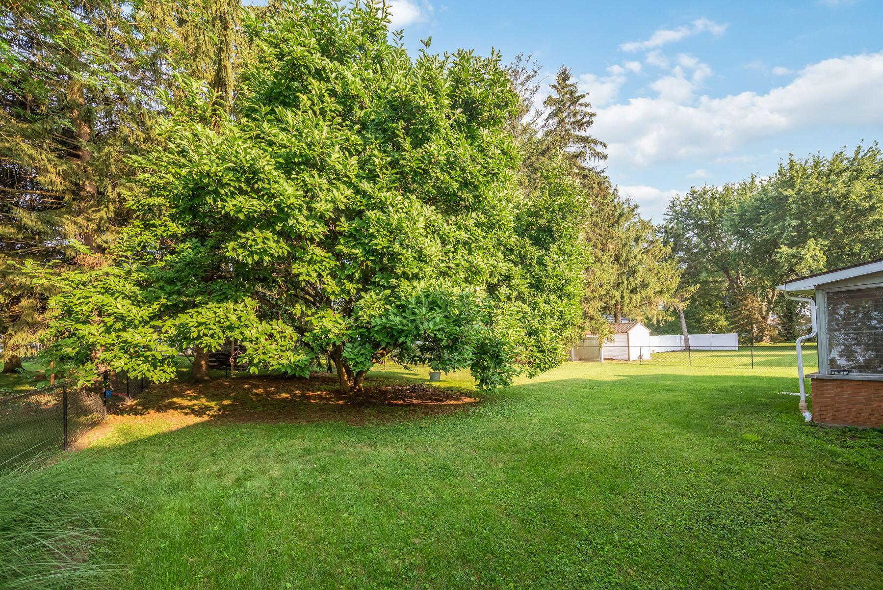 729 Laura Drive