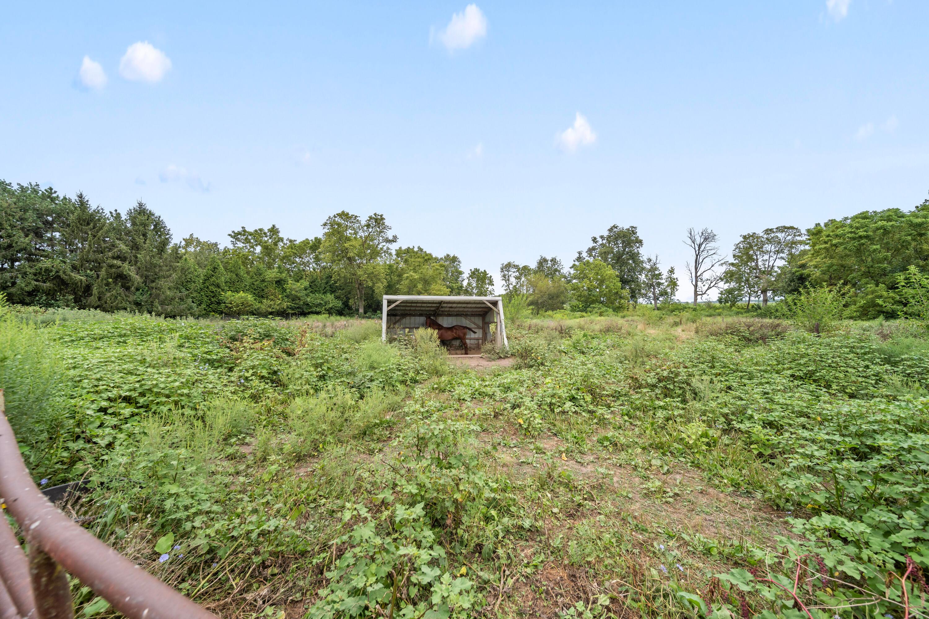 481 Flakes Frd Road SE