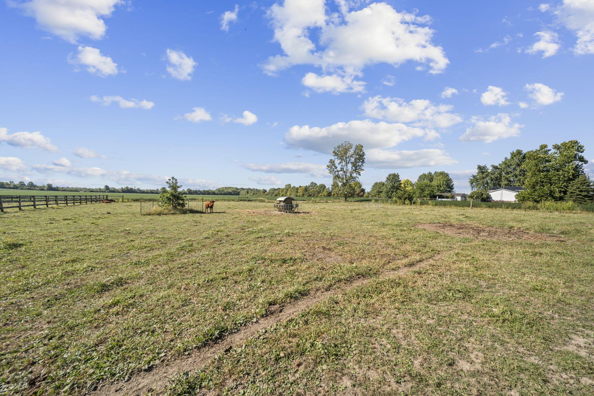 1005 Marion Cardington Road W