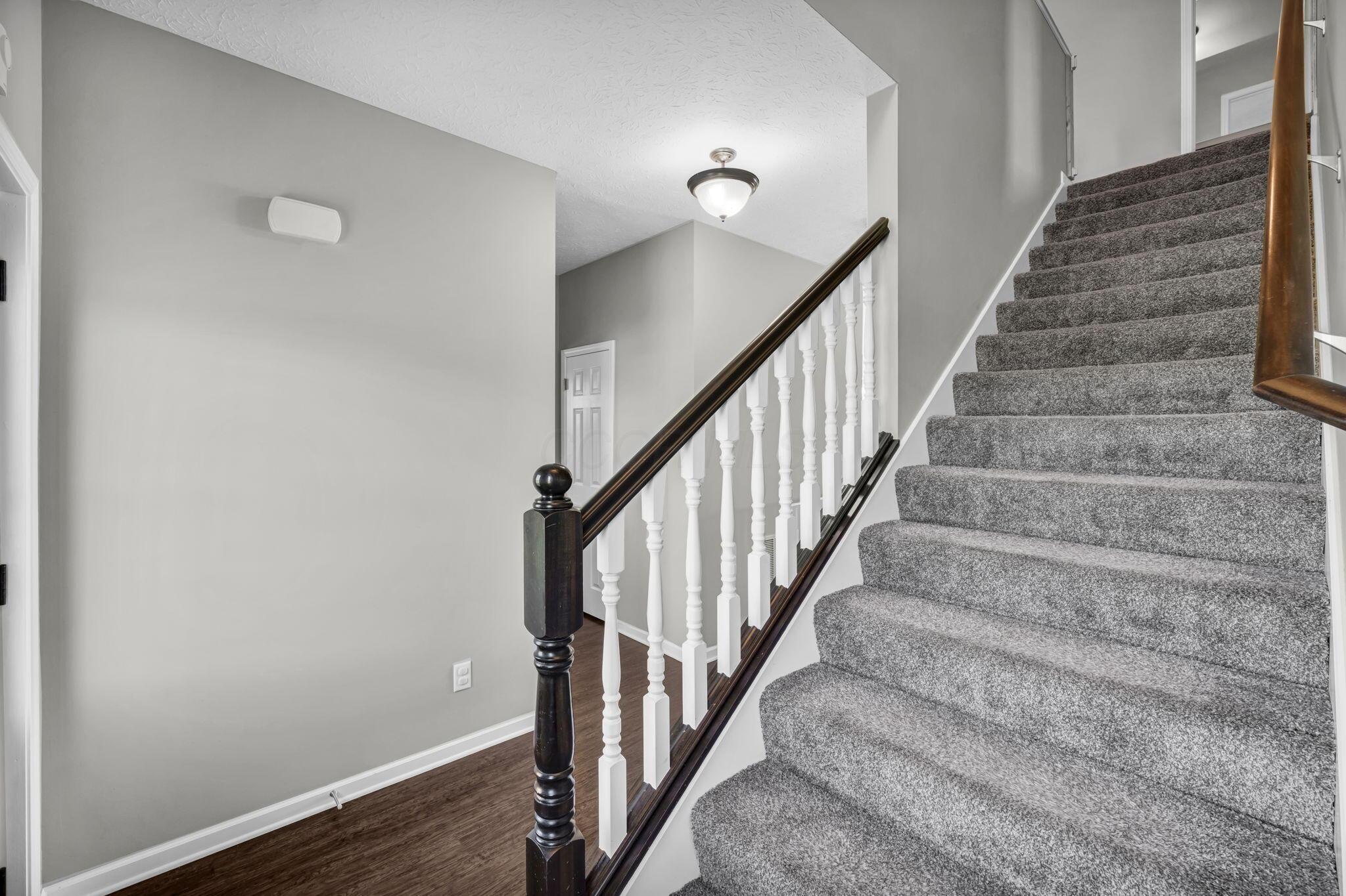 3241 County Road 24