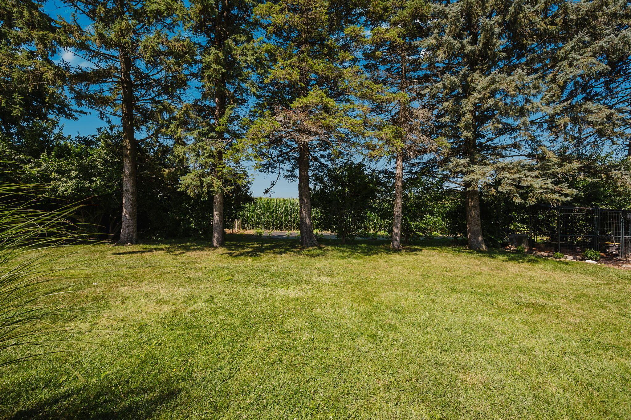 1039 Forest Hill Drive