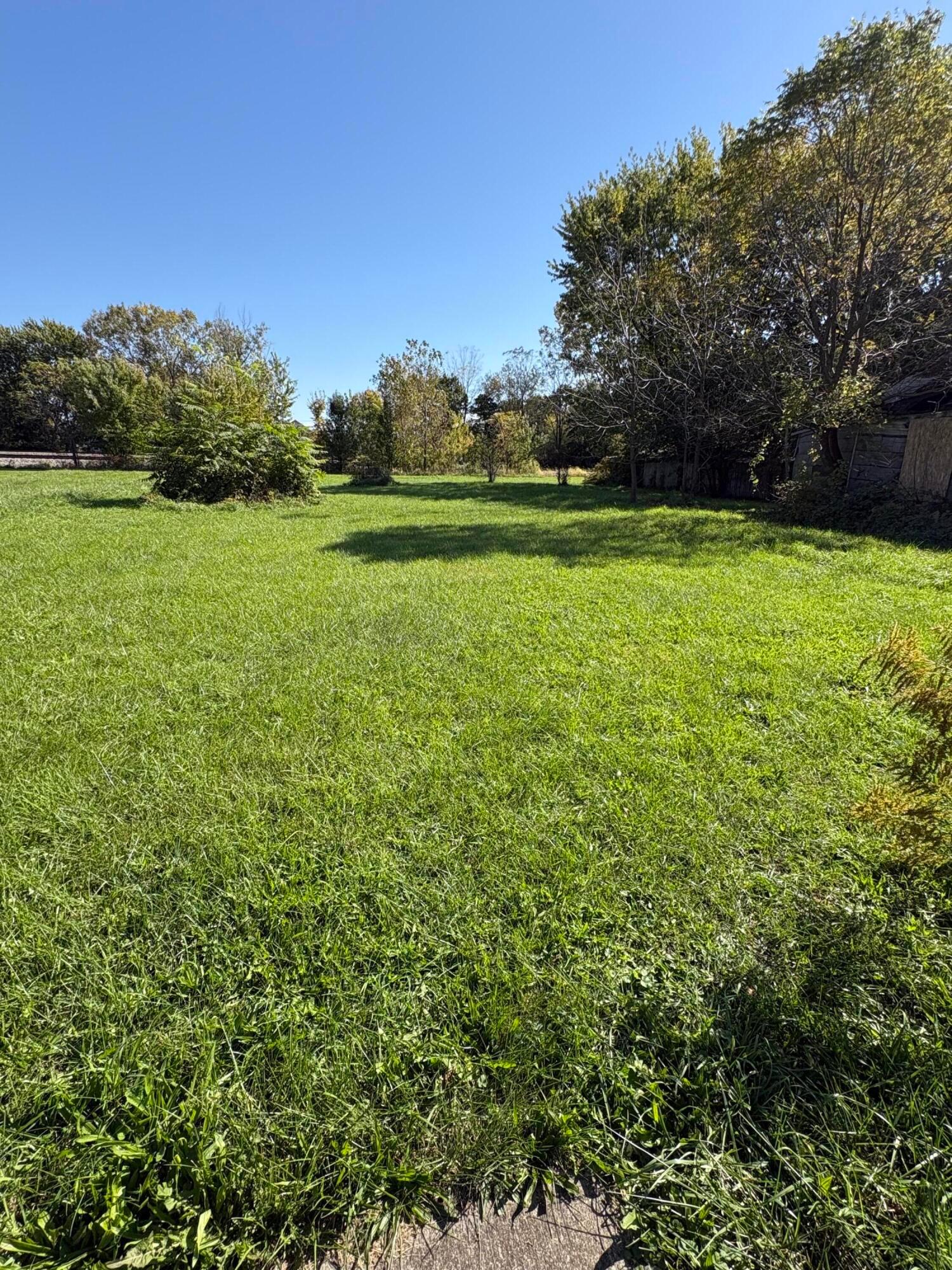 Spacious green yard with mature trees and shrubs beside a weathered outbuilding.