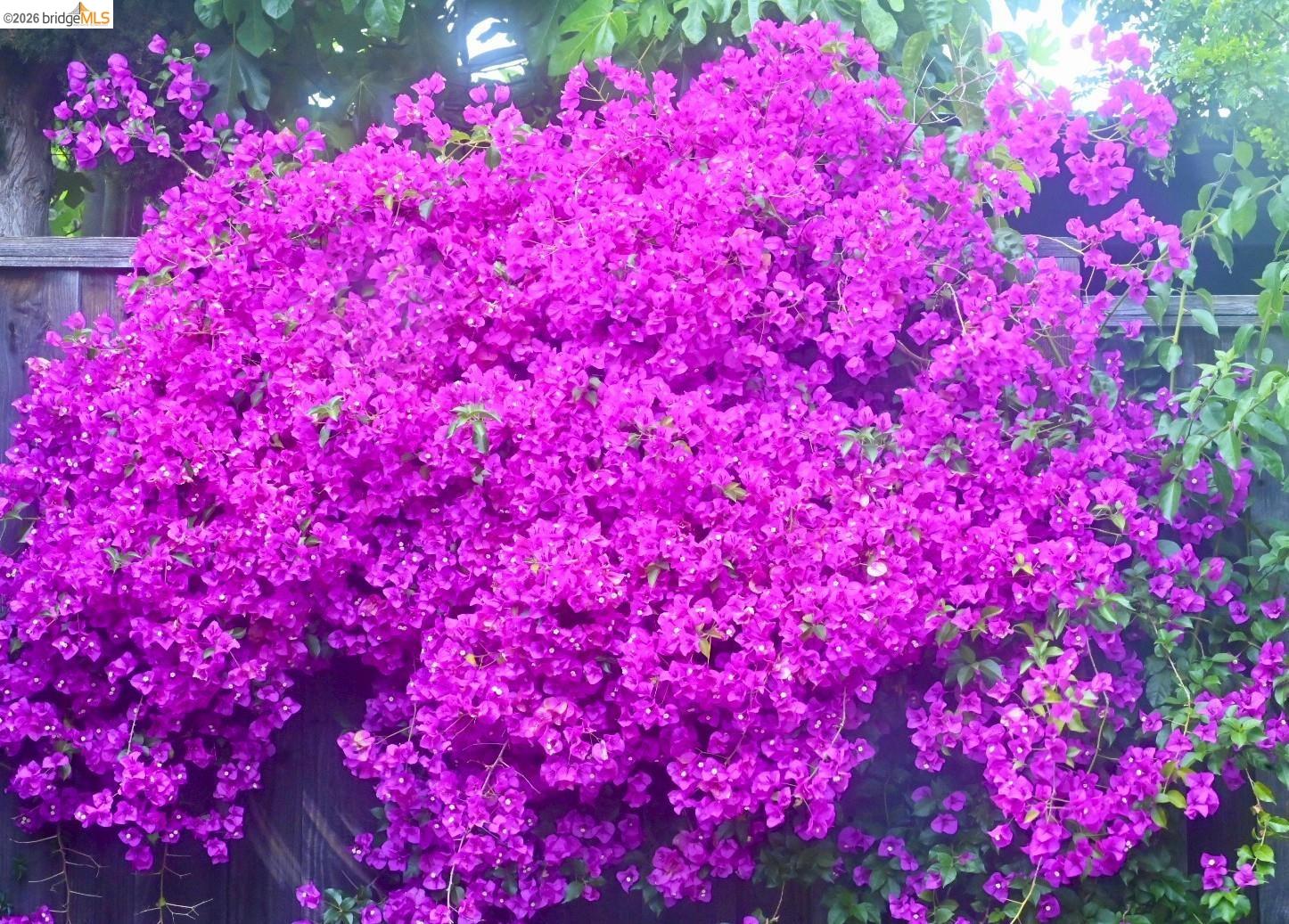 2726 Madeline Street