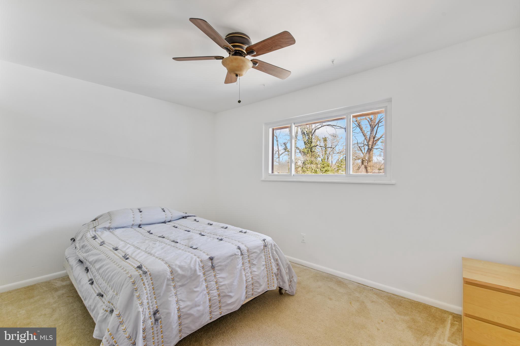 1000 Tudor Dr