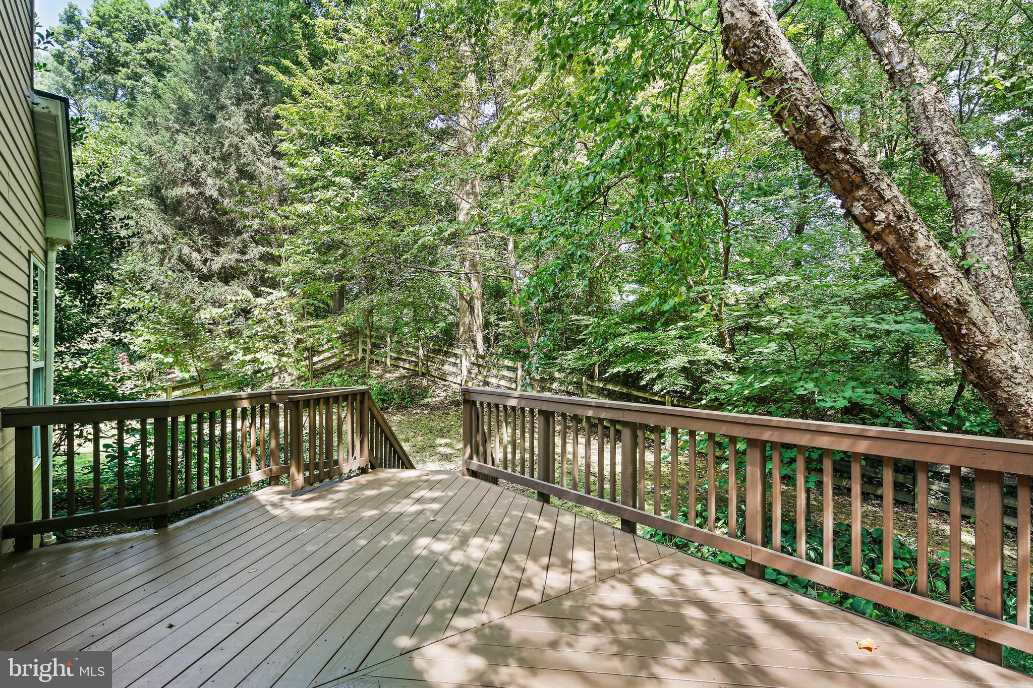 5313 Woodlot Rd