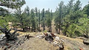 255 Forest Glen Trail
