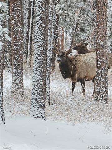 27888 Richmond Hill Road