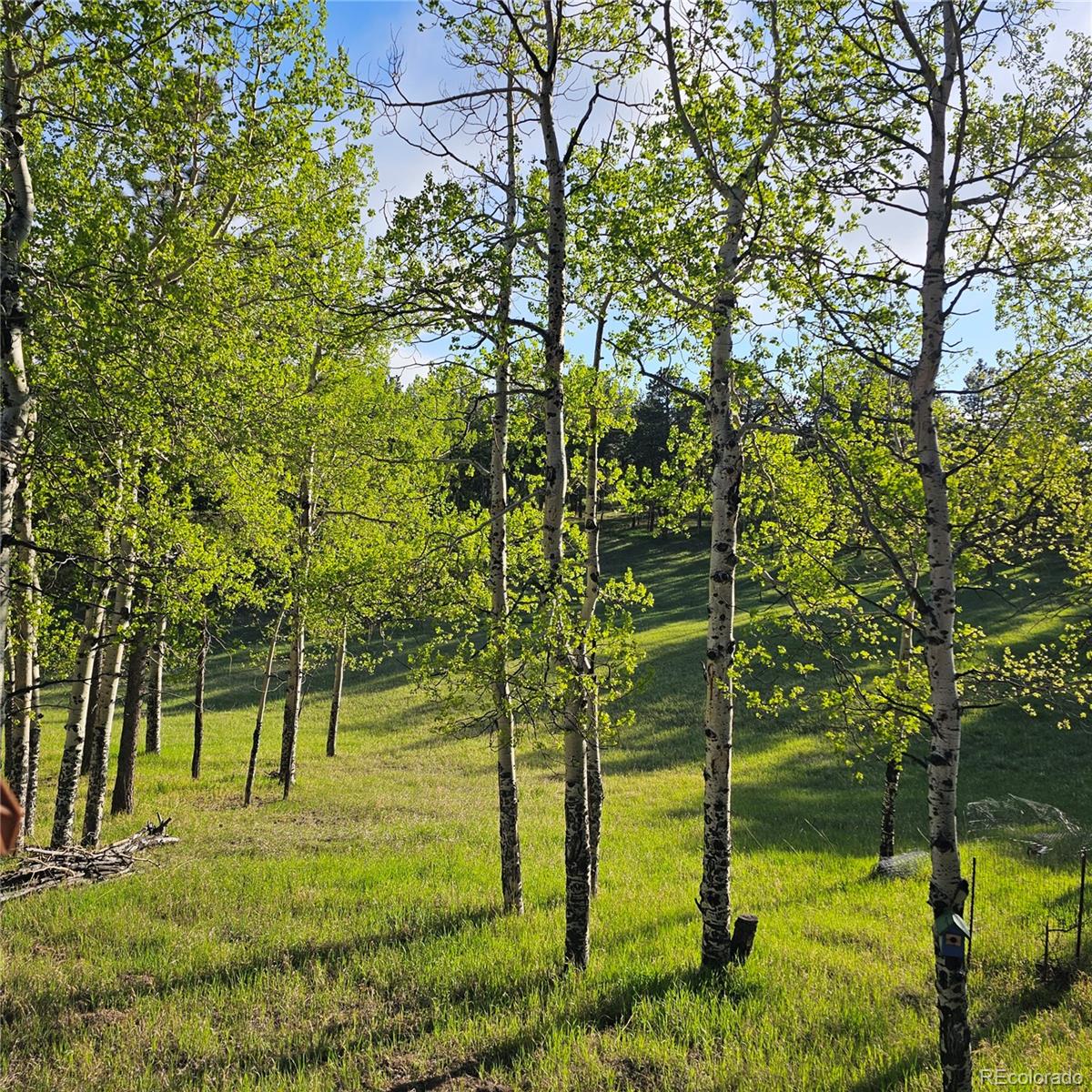 27888 Richmond Hill Road