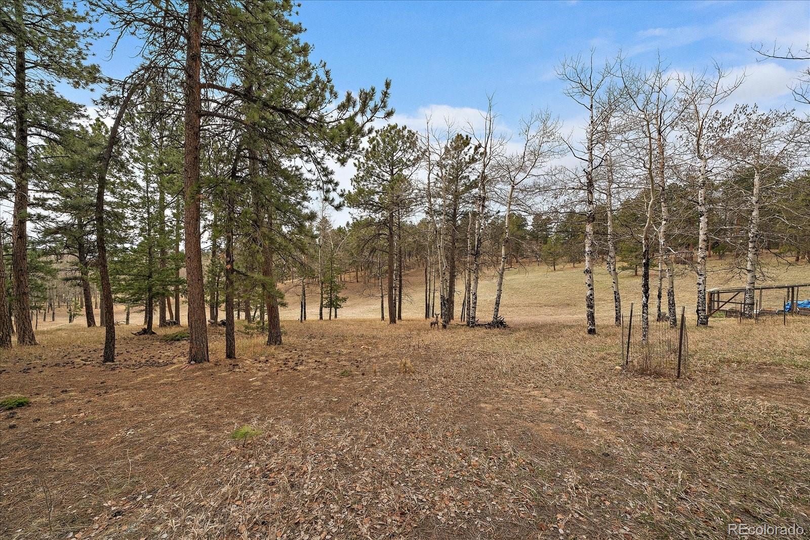 27888 Richmond Hill Road