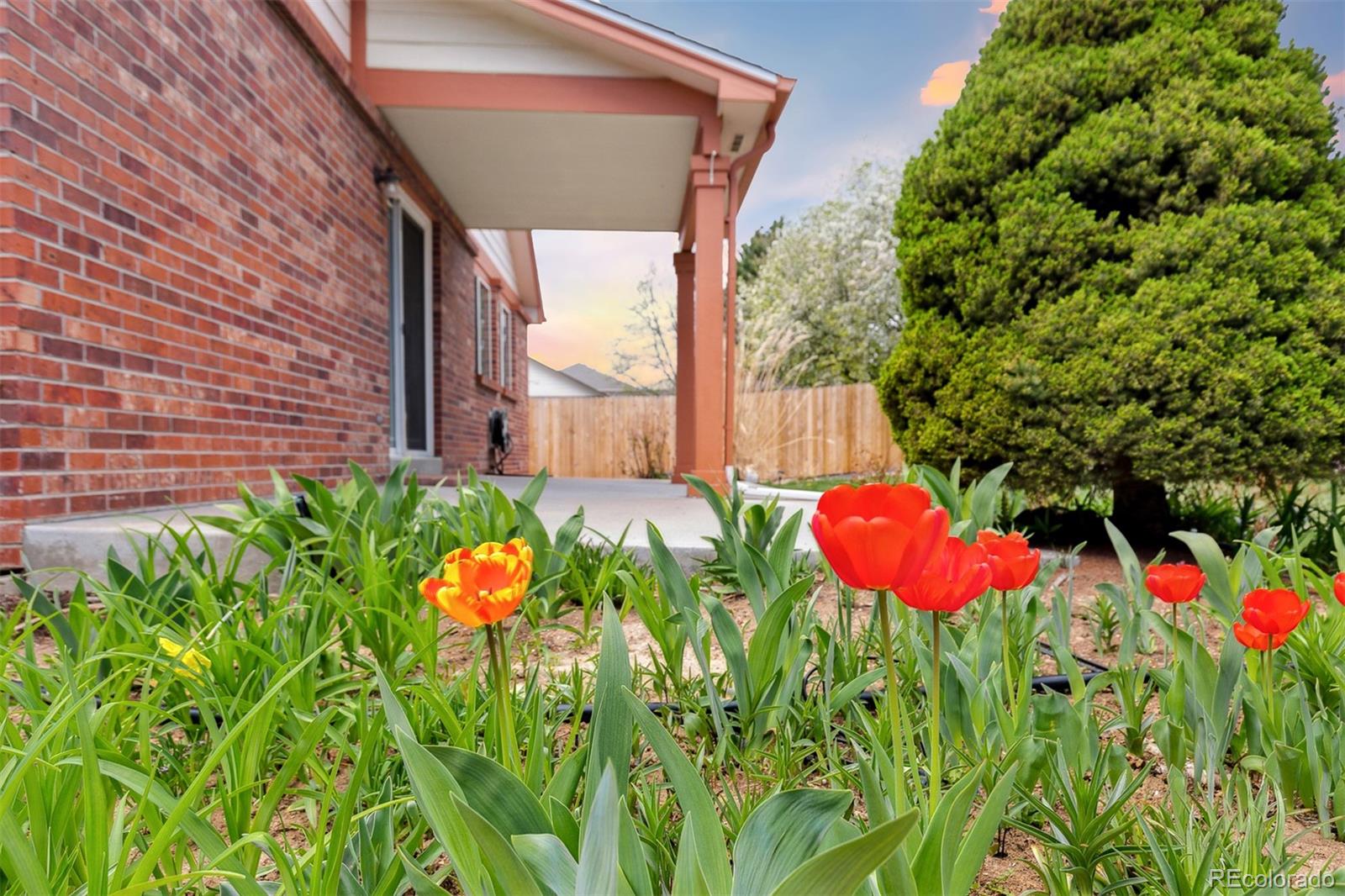 2509 E 126th Place
