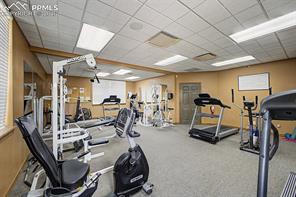 4687 Pine Marten Point