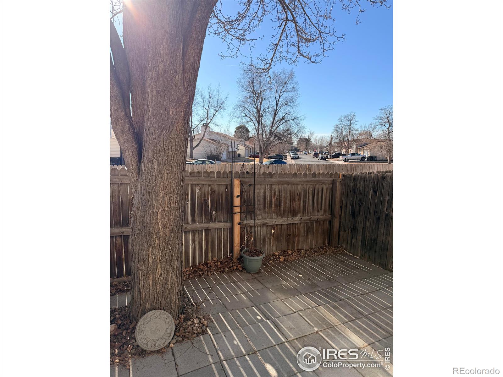 4210 E 94th Avenue Unit: F