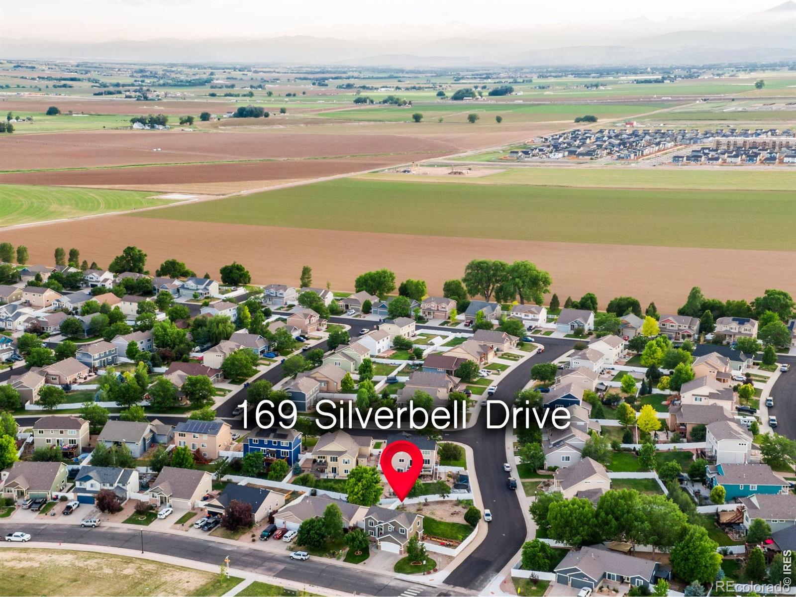 169 Silverbell Drive