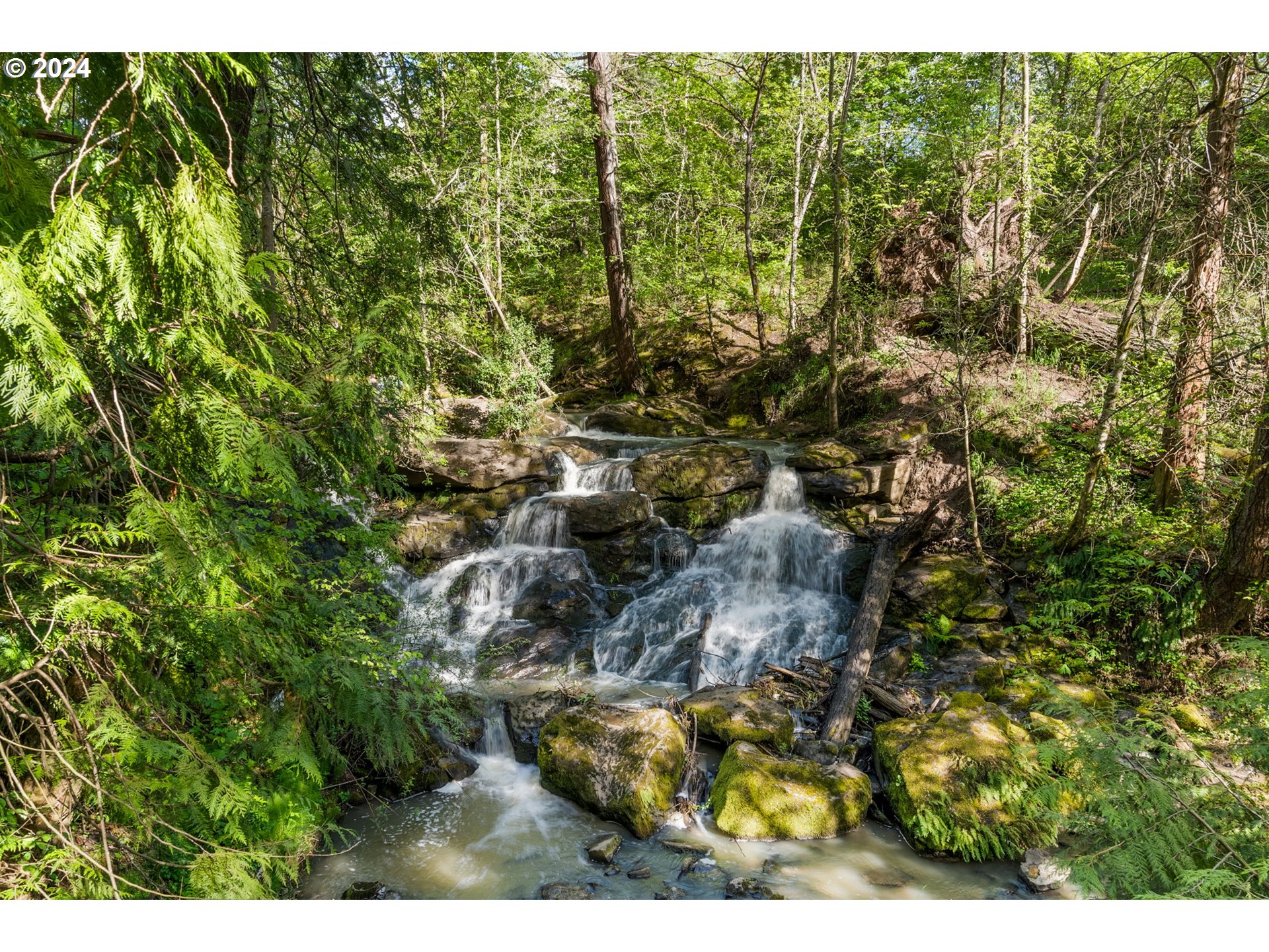 665 NW FALLING WATERS LN 101