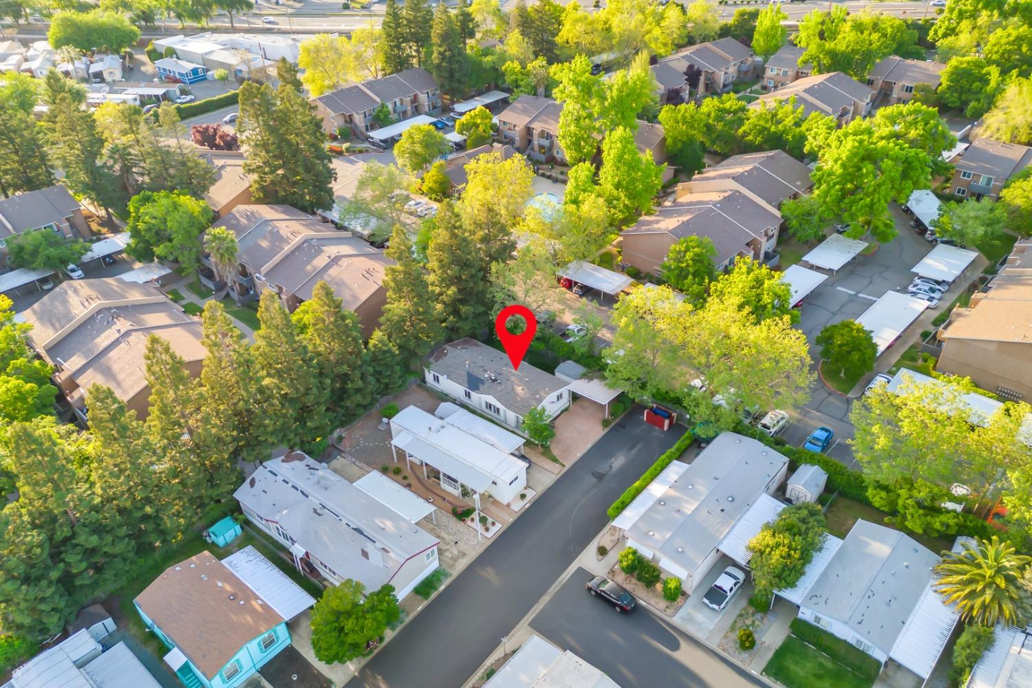 31 Shrine Way