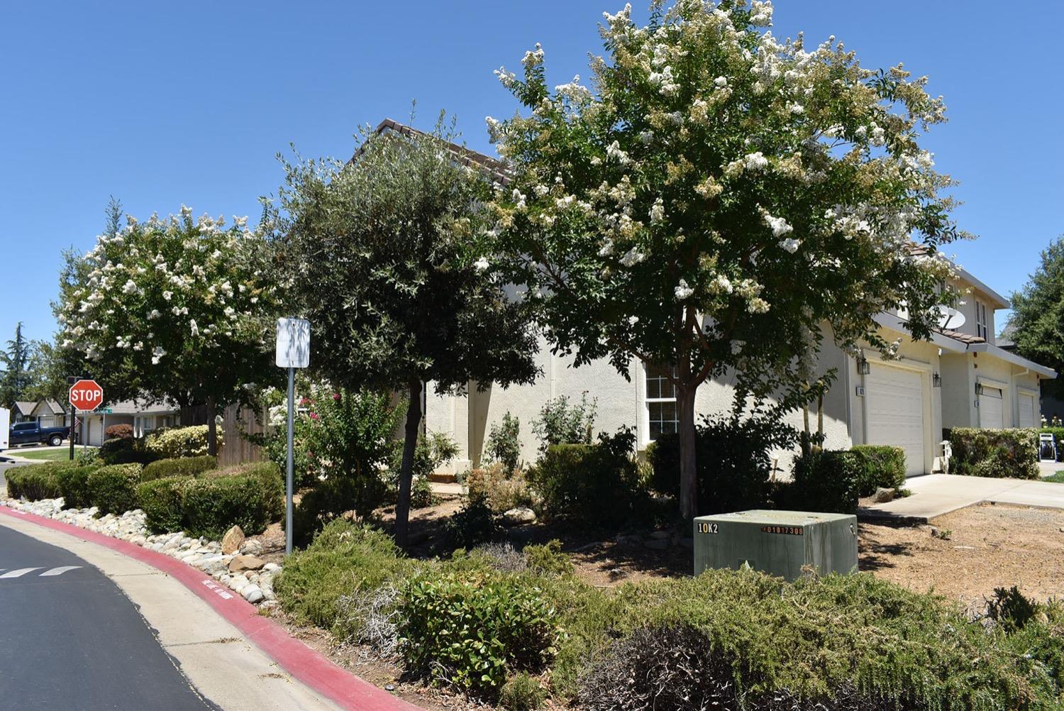 828 Lupine Court
