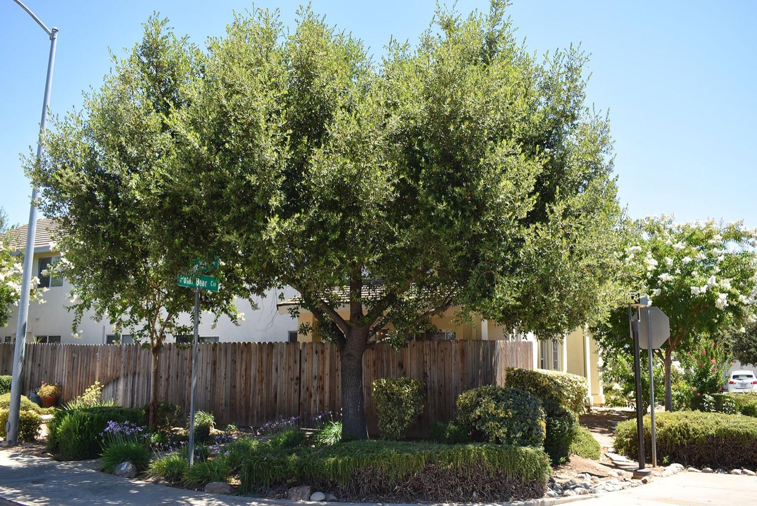 828 Lupine Court