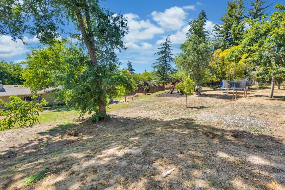 3534 Altamont
