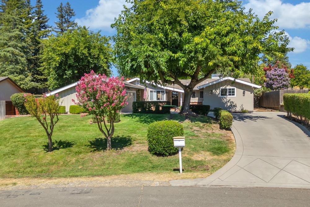 3534 Altamont