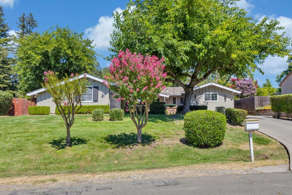 3534 Altamont