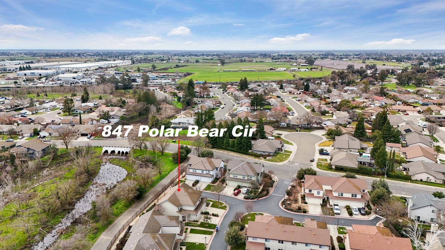 847 Polar Bear Circle