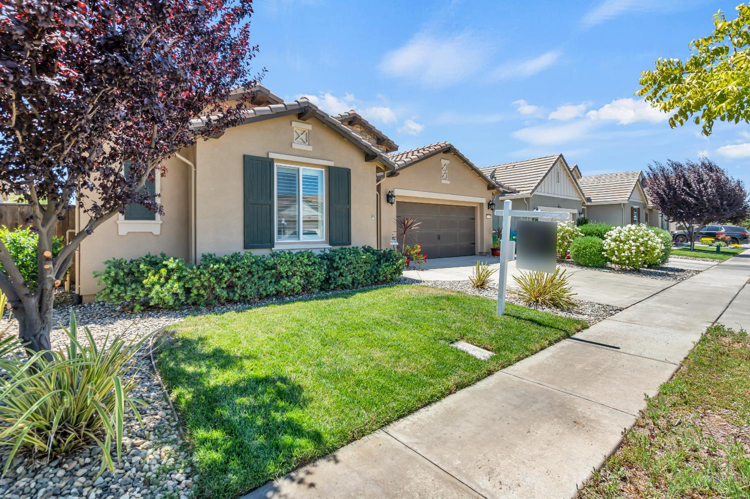 246 Brooks Street