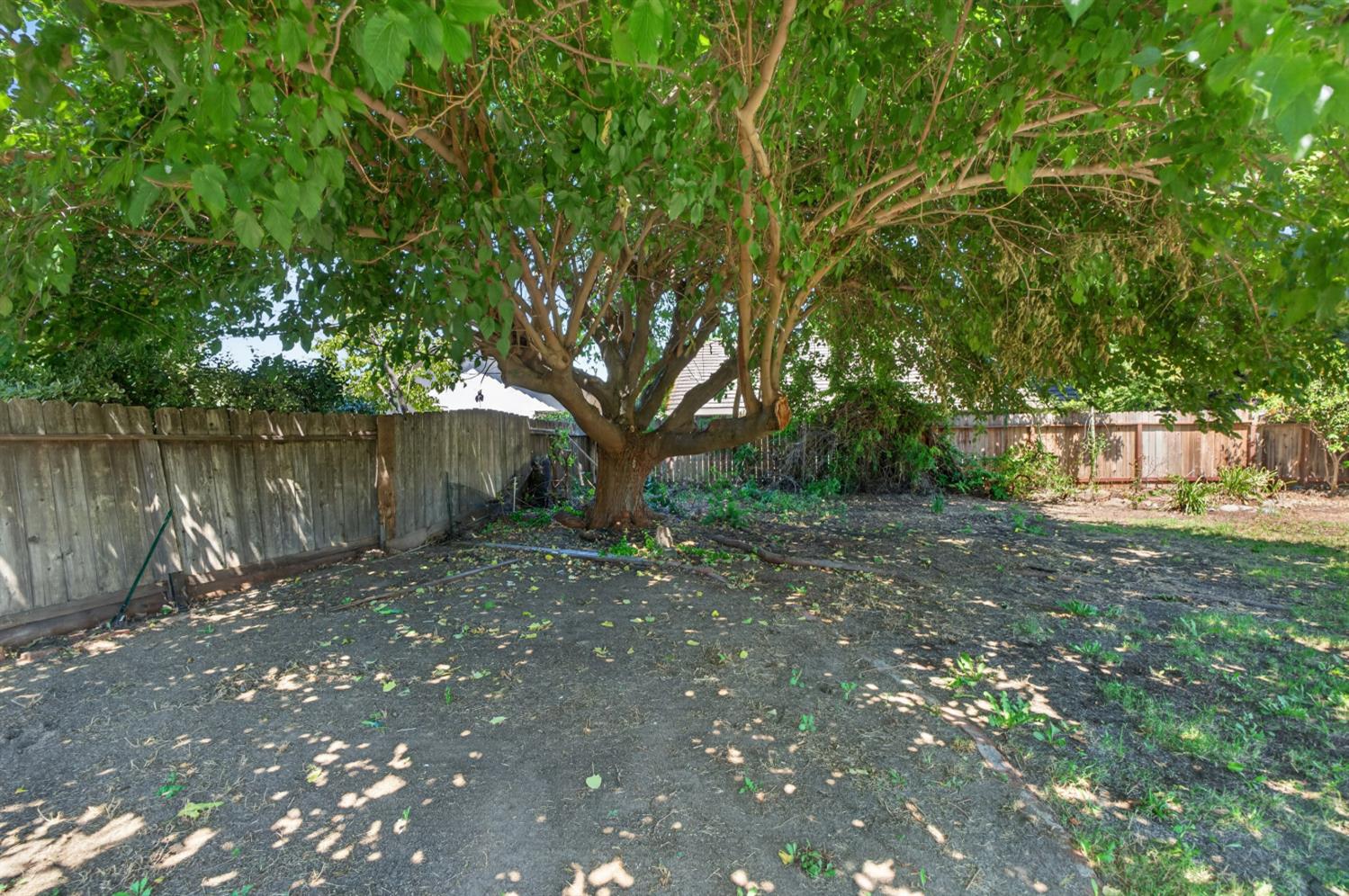 893 Black Canyon Court