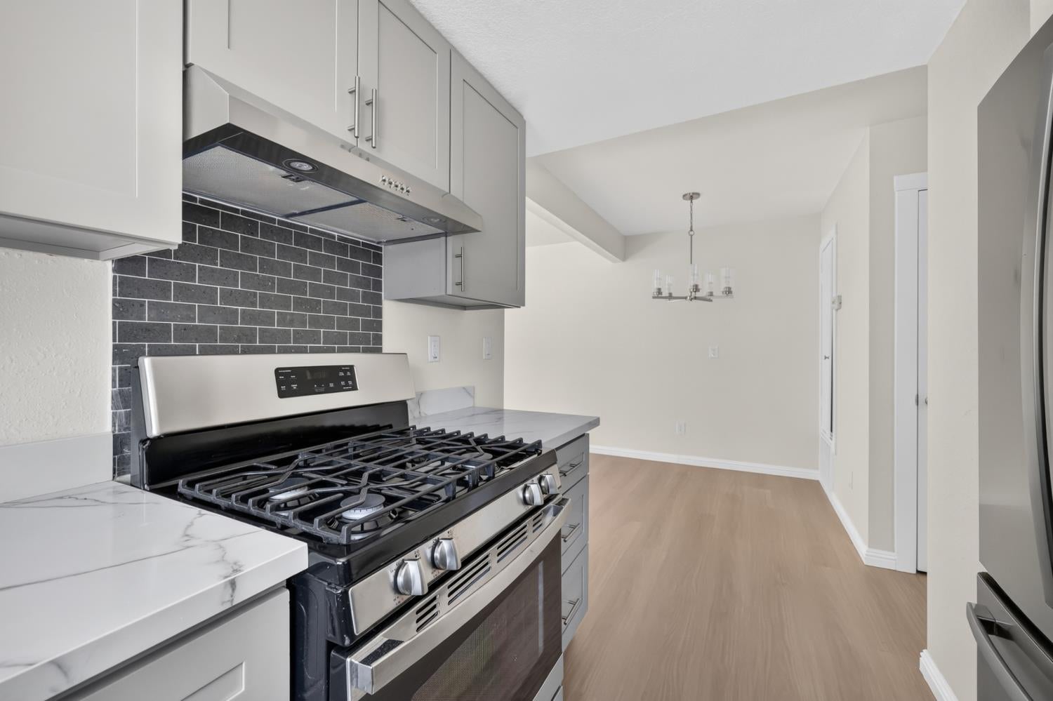 3685 Galena Drive 4