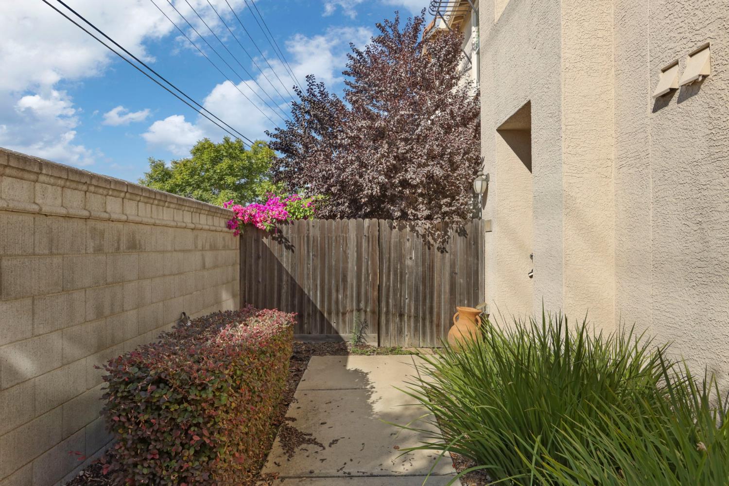 Side yard walkway leading to a wooden gate, bordered by stucco walls, shrubs, and ornamental grasses.