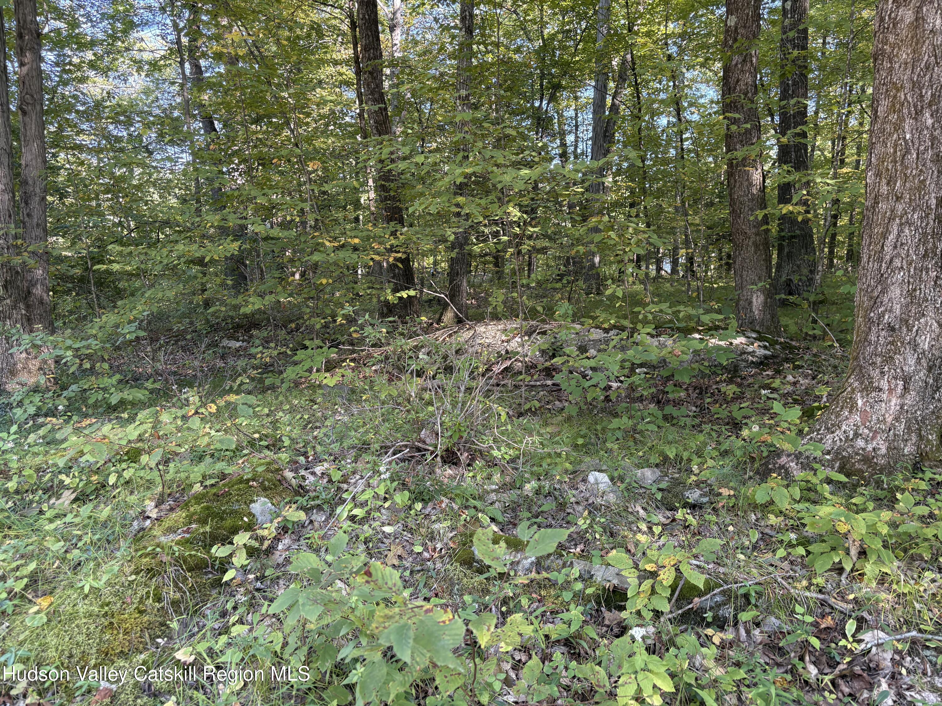 336 Ashley Hill Road