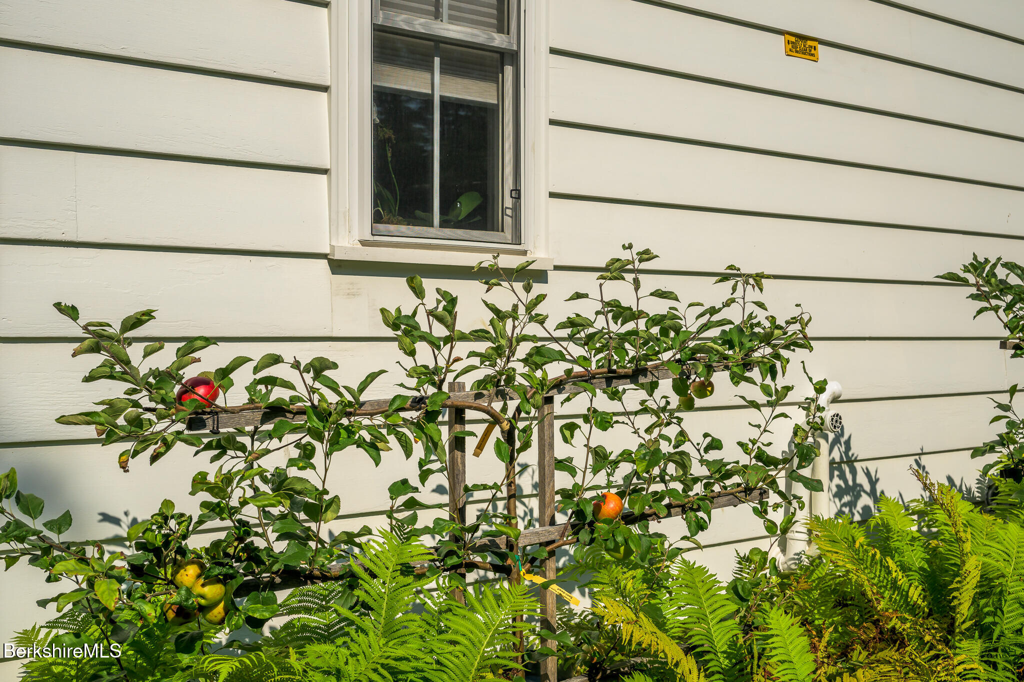 33 Brunell Ave