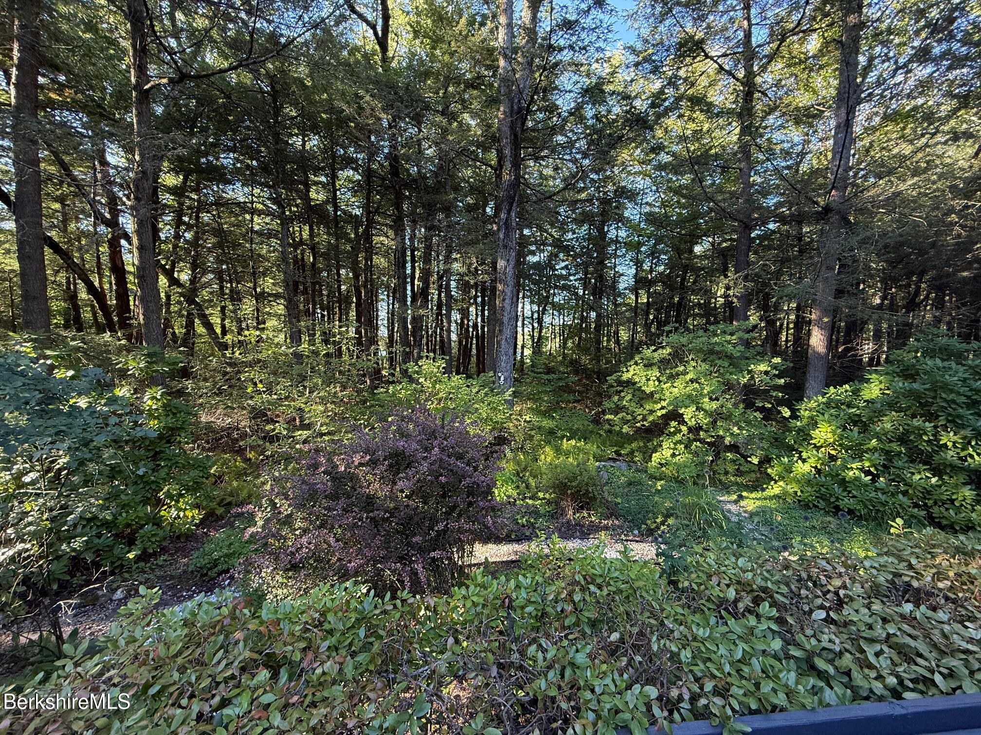 58 Evergreen Rd