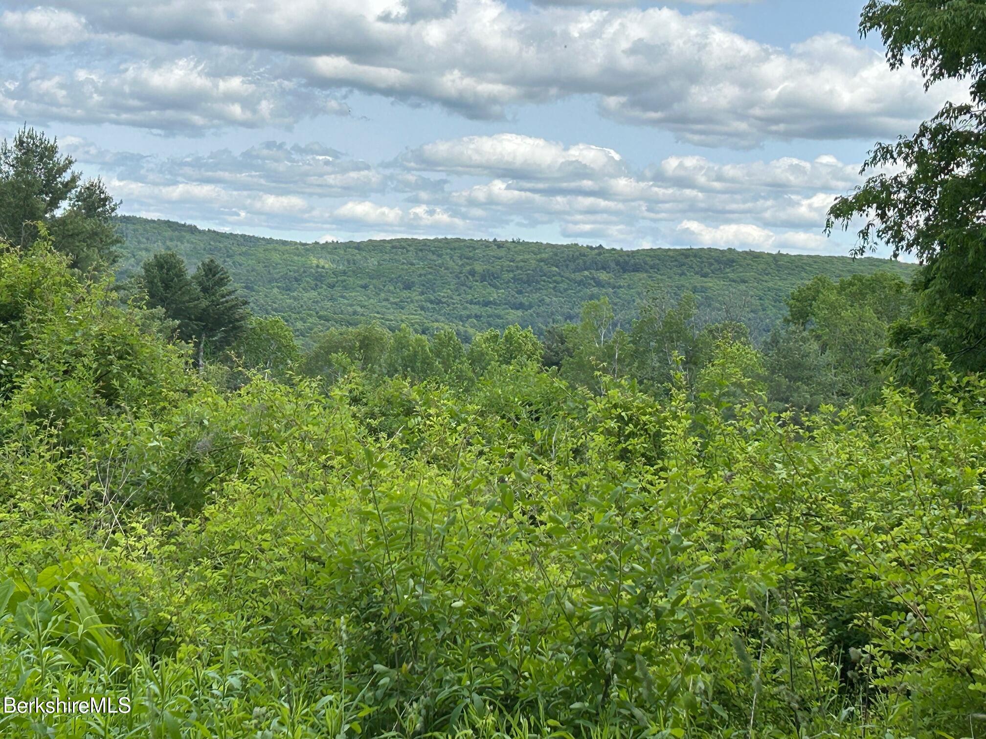 0 Brewer Branch Rd